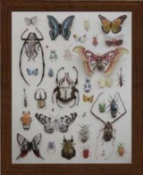 Painting Butterflies collection