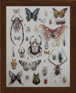 Painting Butterflies collection